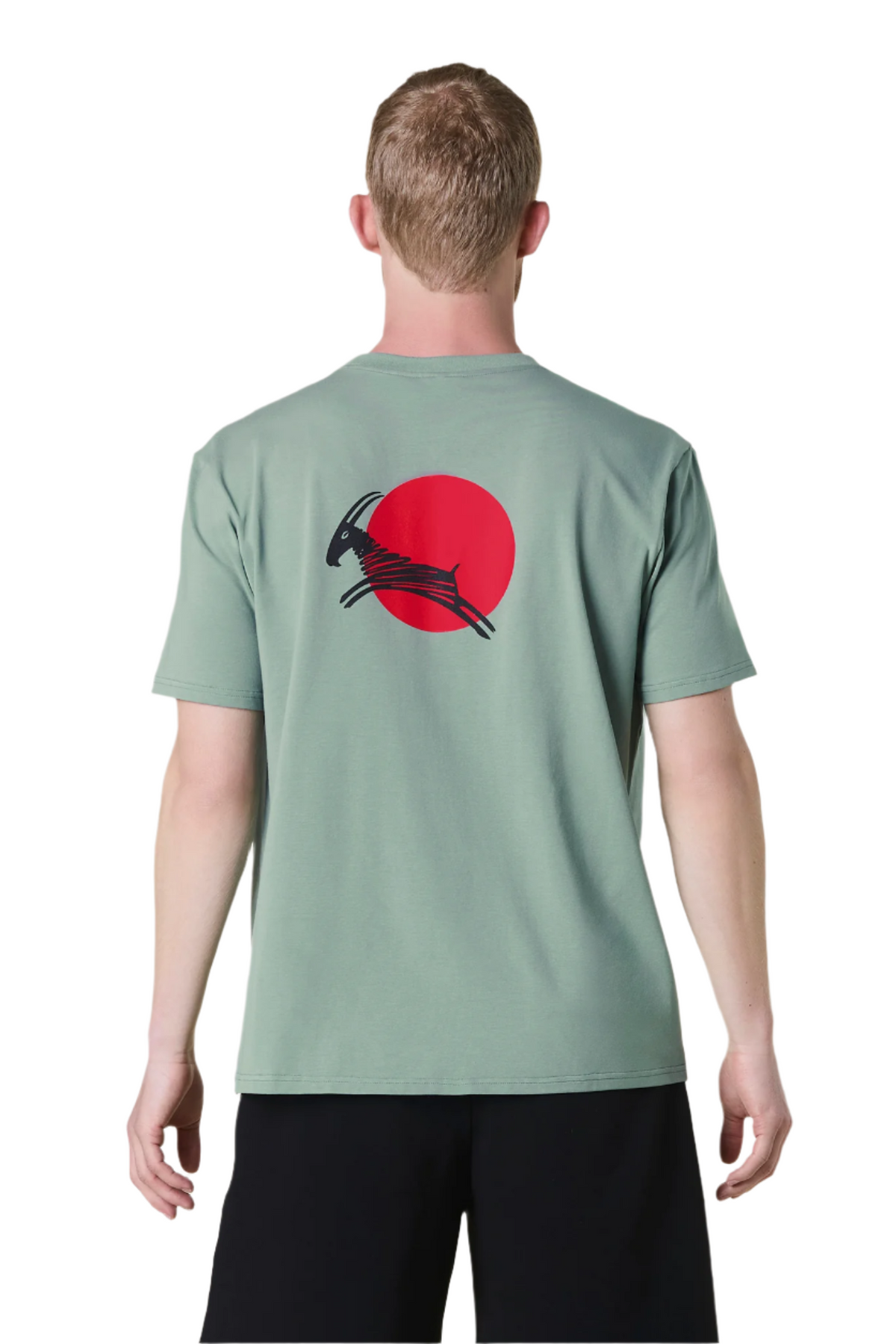 T-Shirt aus Baumwolle – Herren – Dark Mint